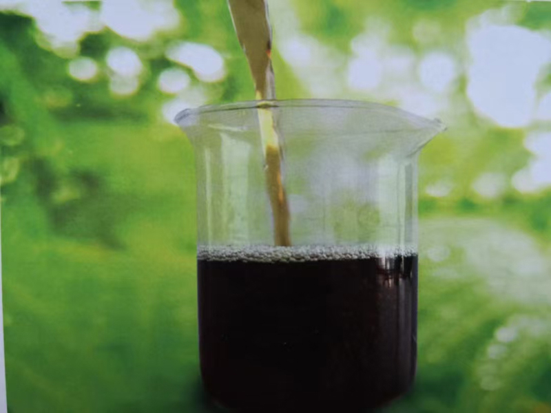 微信圖片_20250310131810.jpg 微信圖片_20250310131810.jpg